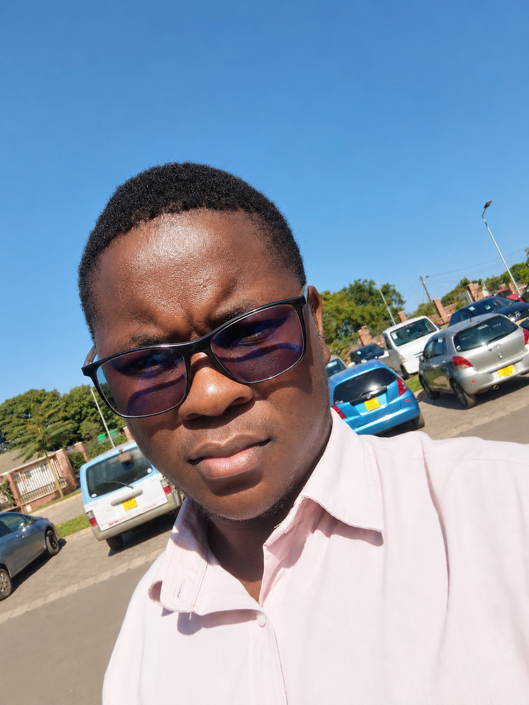 Smart Moses
